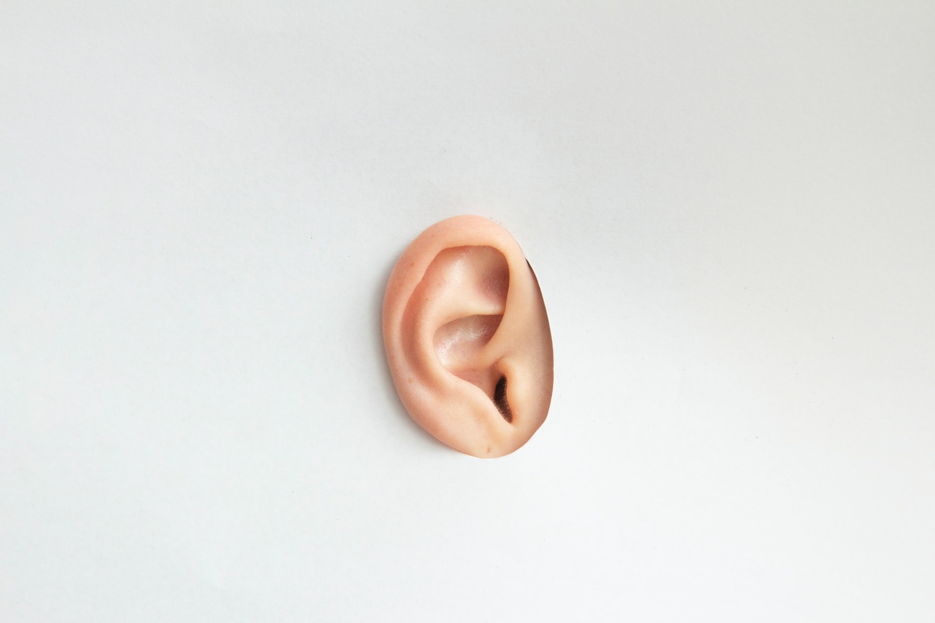 An ear on a white background